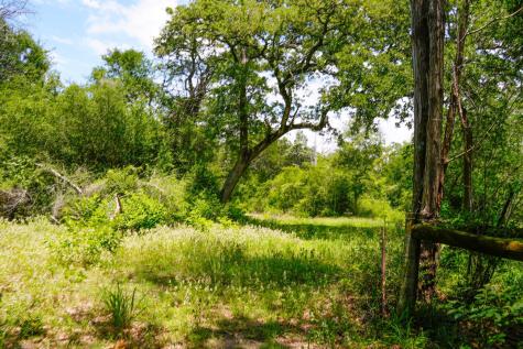 Tbd Farm To Market 3233 Road La Grange TX 78945
