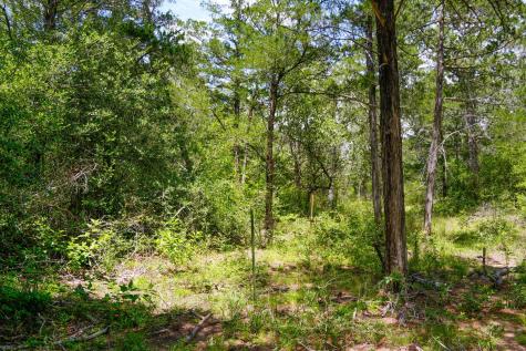 Tbd Farm To Market 3233 Road La Grange TX 78945