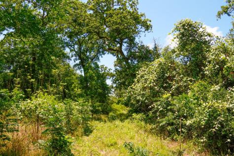 Tbd Farm To Market 3233 Road La Grange TX 78945