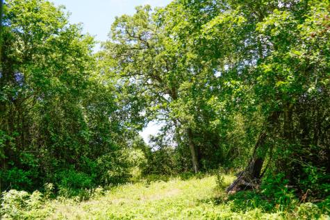 Tbd Farm To Market 3233 Road La Grange TX 78945