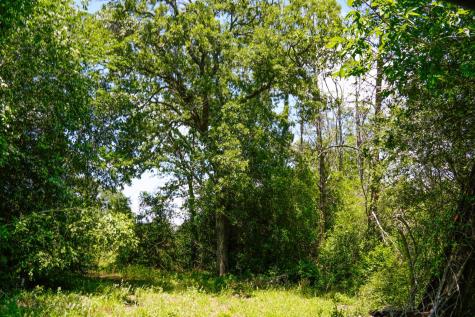 Tbd Farm To Market 3233 Road La Grange TX 78945