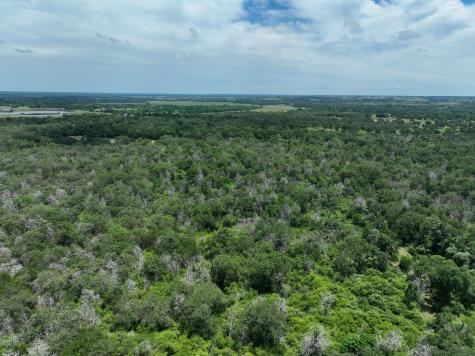 Tbd Farm To Market 3233 Road La Grange TX 78945