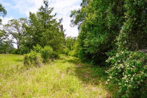 Tbd Farm To Market 3233 Road La Grange TX 78945