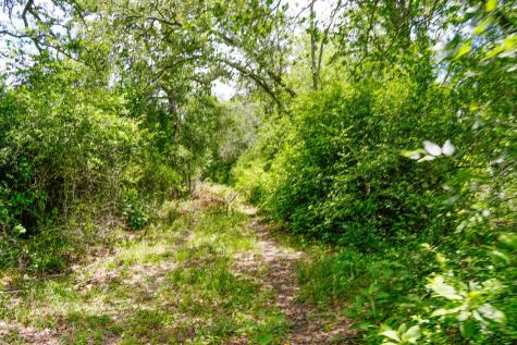 Tbd Farm To Market 3233 Road La Grange TX 78945