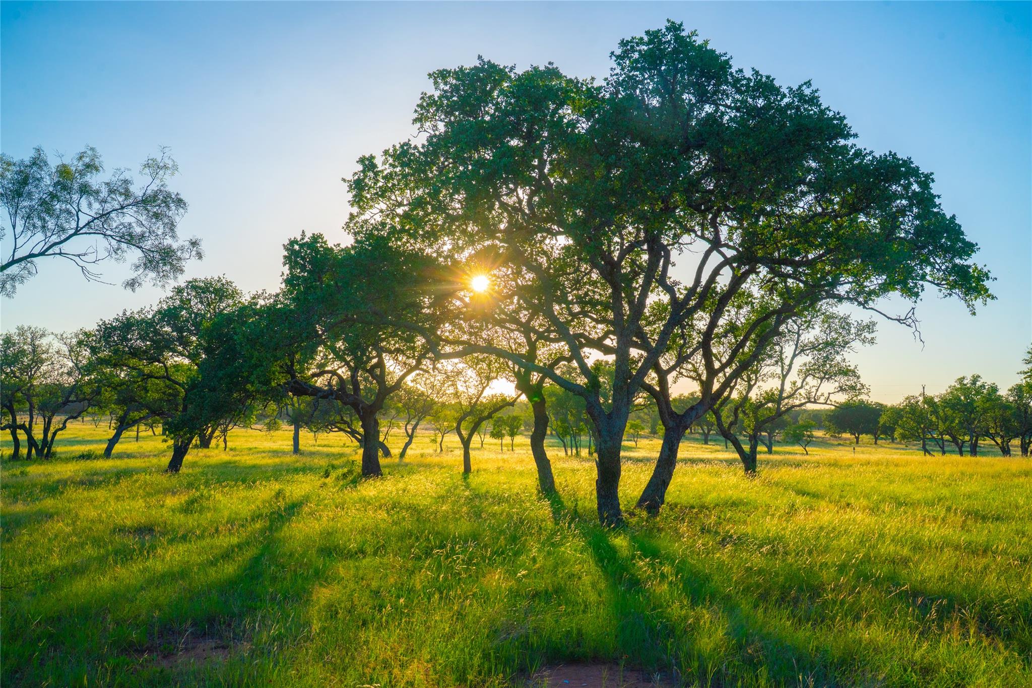 000 Rolling Oaks Ranch Johnson City TX 78636