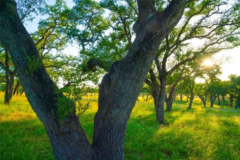 000 Rolling Oaks Ranch Johnson City TX 78636