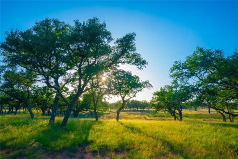 000 Rolling Oaks Ranch Johnson City TX 78636