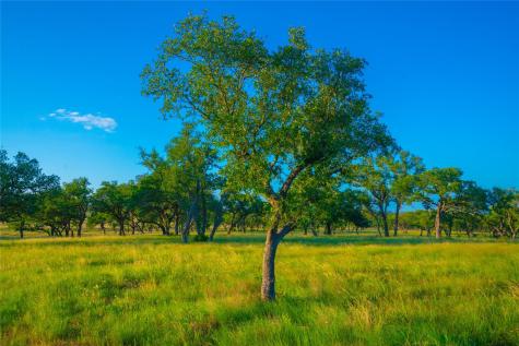 000 Rolling Oaks Ranch Johnson City TX 78636