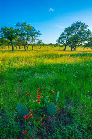 000 Rolling Oaks Ranch Johnson City TX 78636