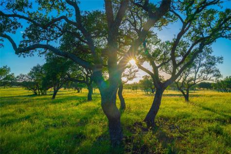 000 Rolling Oaks Ranch Johnson City TX 78636