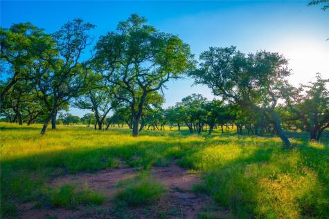 000 Rolling Oaks Ranch Johnson City TX 78636