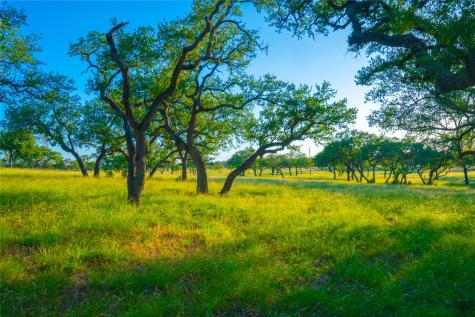 000 Rolling Oaks Ranch Johnson City TX 78636