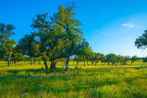 000 Rolling Oaks Ranch Johnson City TX 78636