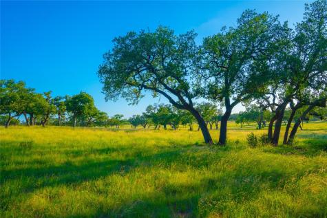 000 Rolling Oaks Ranch Johnson City TX 78636