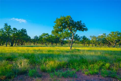 000 Rolling Oaks Ranch Johnson City TX 78636
