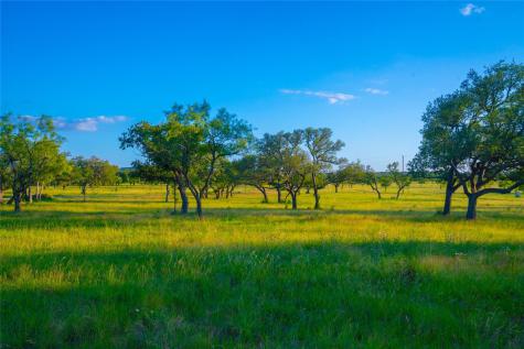 000 Rolling Oaks Ranch Johnson City TX 78636