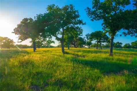 000 Rolling Oaks Ranch Johnson City TX 78636