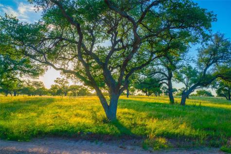 000 Rolling Oaks Ranch Johnson City TX 78636