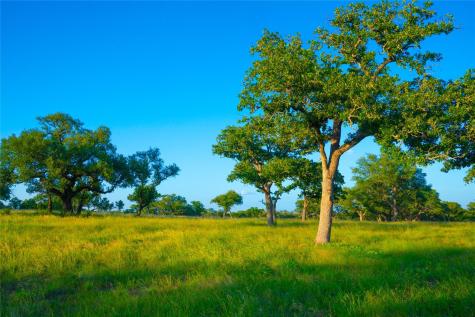 000 Rolling Oaks Ranch Johnson City TX 78636