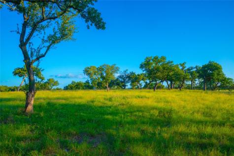 000 Rolling Oaks Ranch Johnson City TX 78636