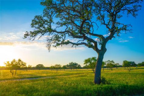 000 Rolling Oaks Ranch Johnson City TX 78636