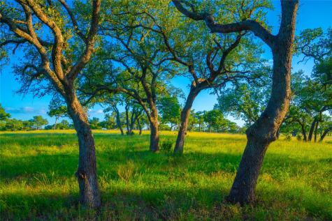 000 Rolling Oaks Ranch Johnson City TX 78636