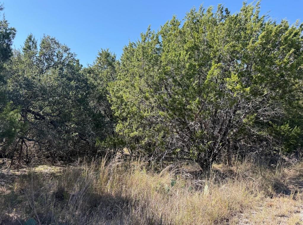Lot K10037 Drew Drop Horseshoe Bay TX 78657
