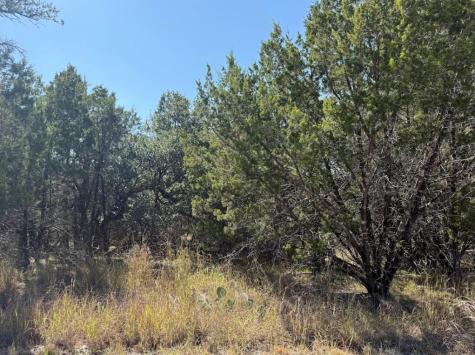 Lot K10037 Drew Drop Horseshoe Bay TX 78657