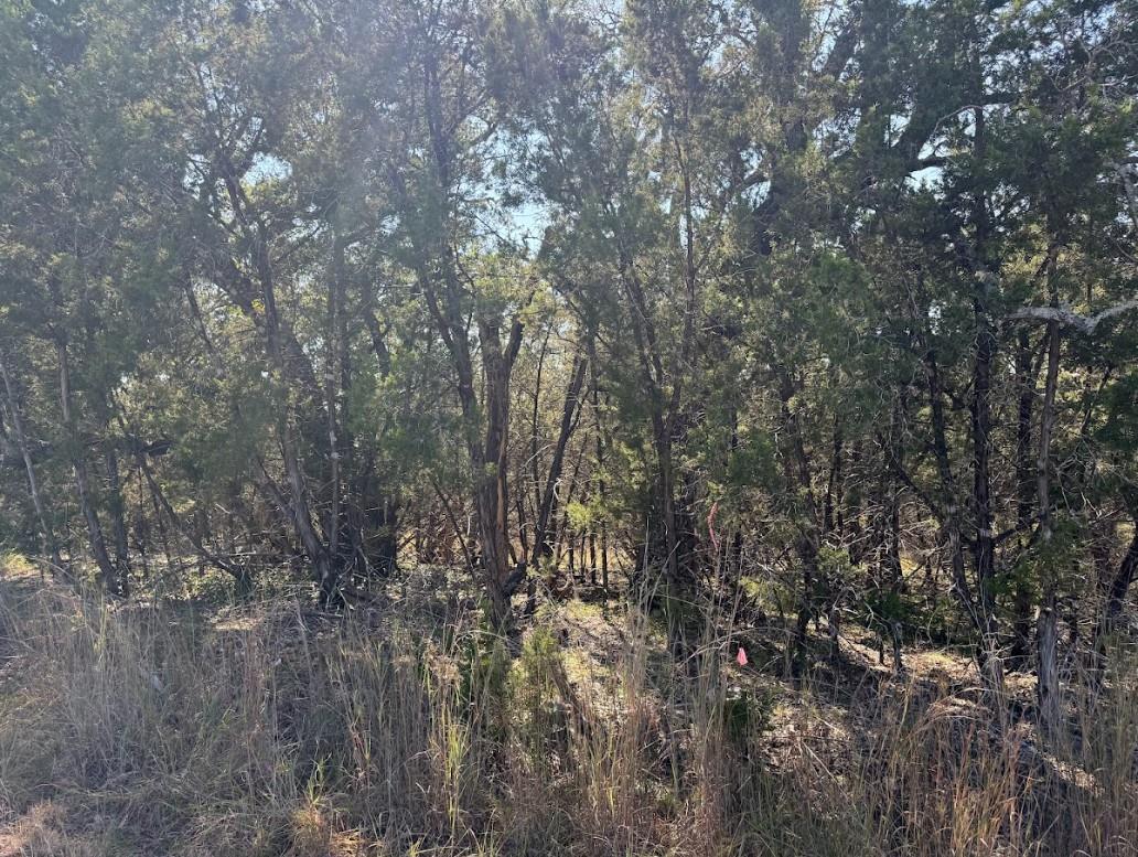 Lot K10037 Drew Drop Horseshoe Bay TX 78657