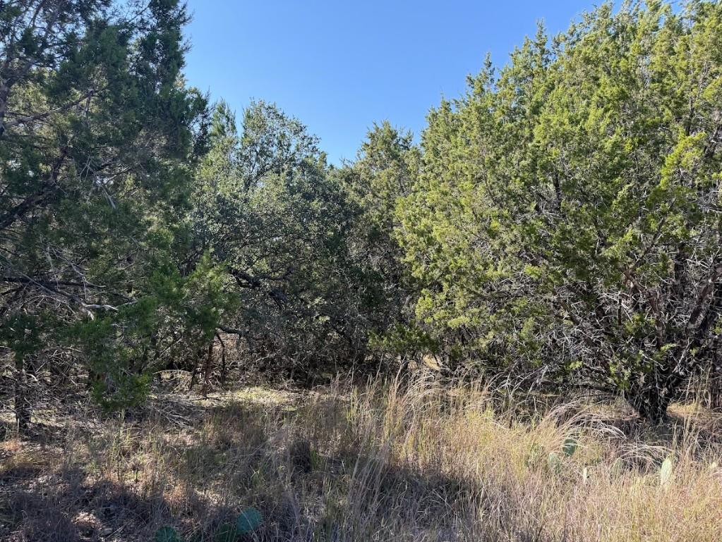 Lot K10037 Drew Drop Horseshoe Bay TX 78657