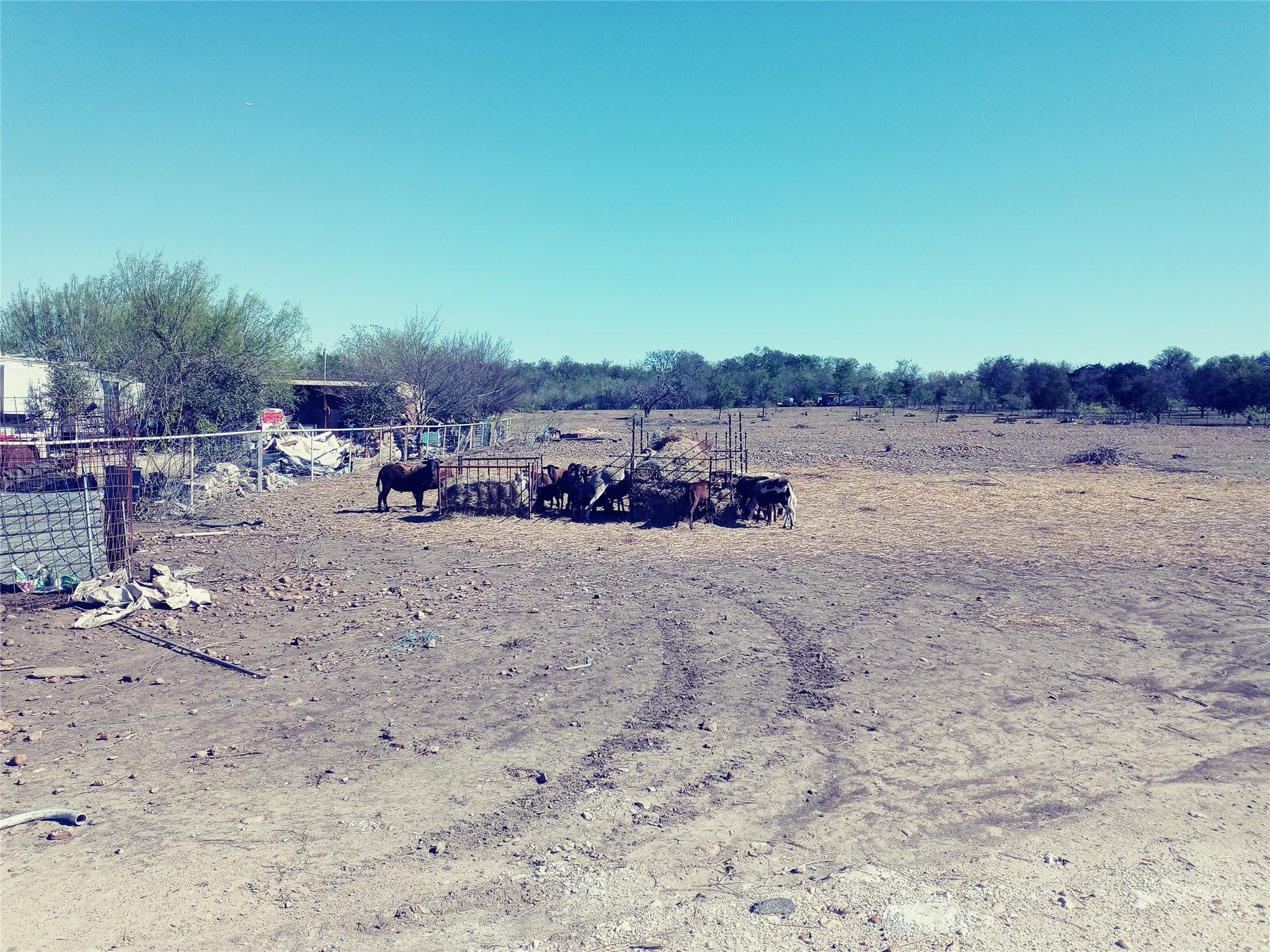 11717 Schriber Road Buda TX 78610