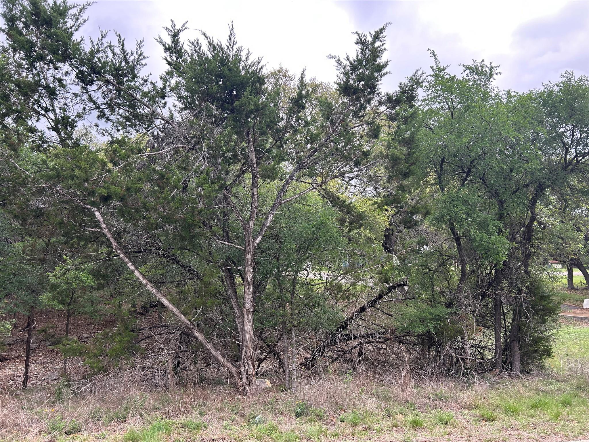 2 W El Camino Real Wimberley TX 78676