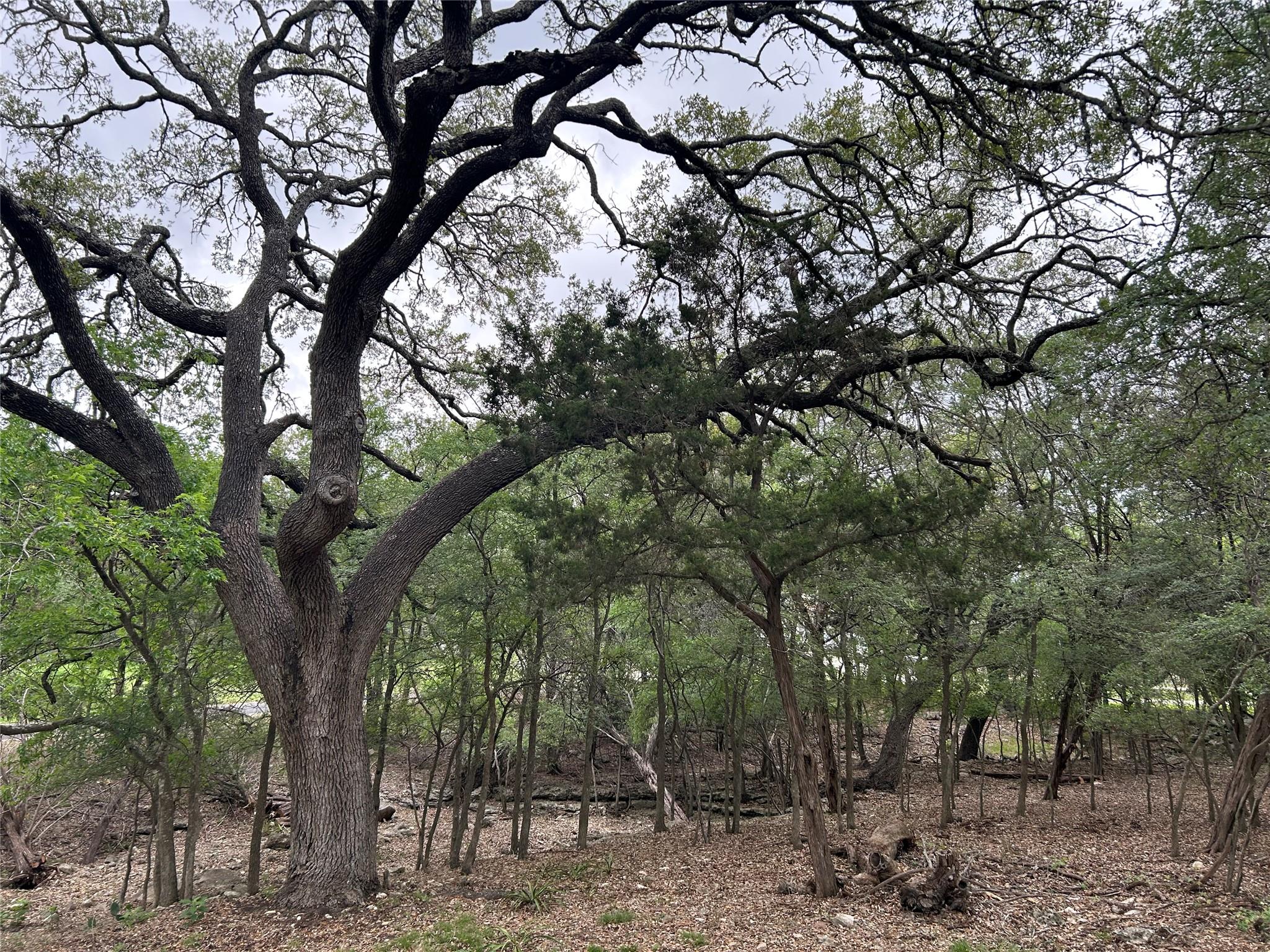 2 W El Camino Real Wimberley TX 78676