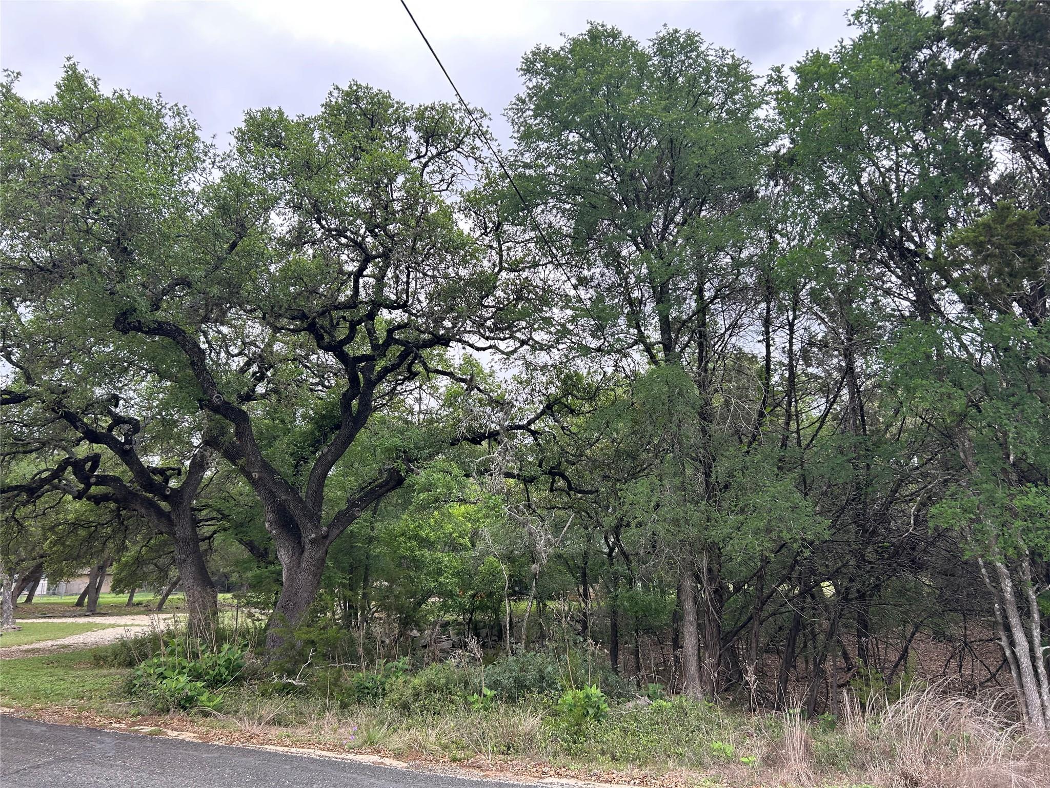 2 W El Camino Real Wimberley TX 78676