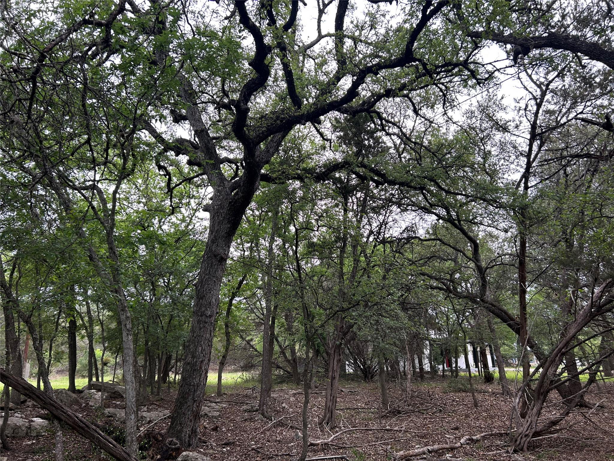 2 W El Camino Real Wimberley TX 78676