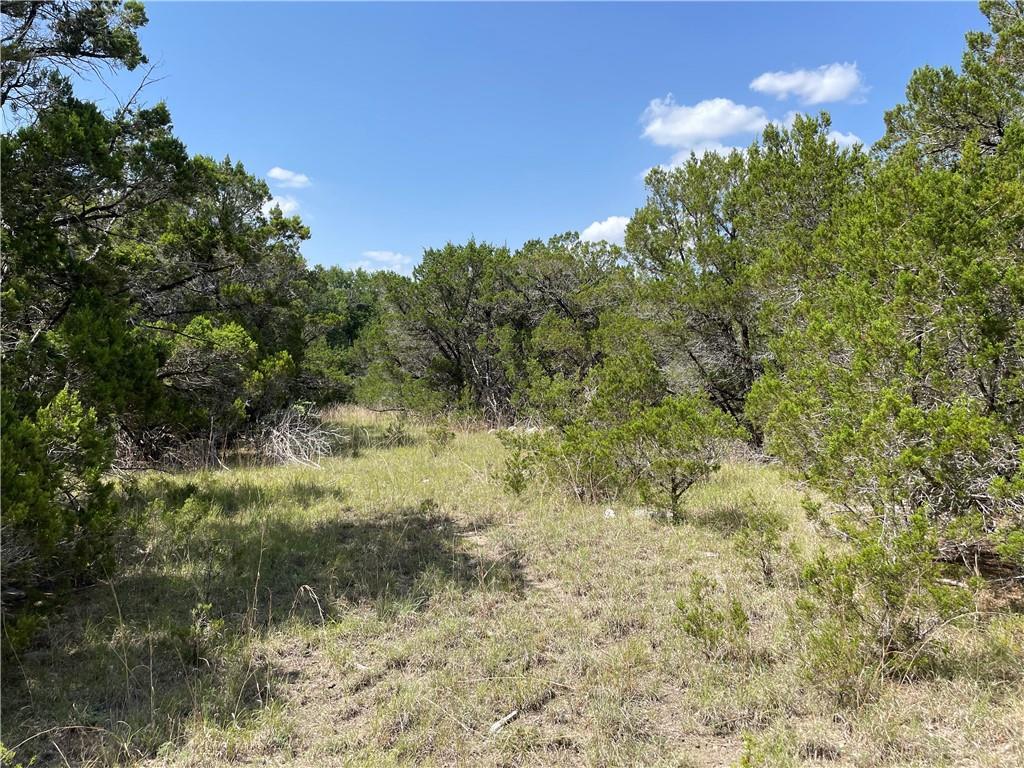 271 Ridgeline Road Leander TX 78641