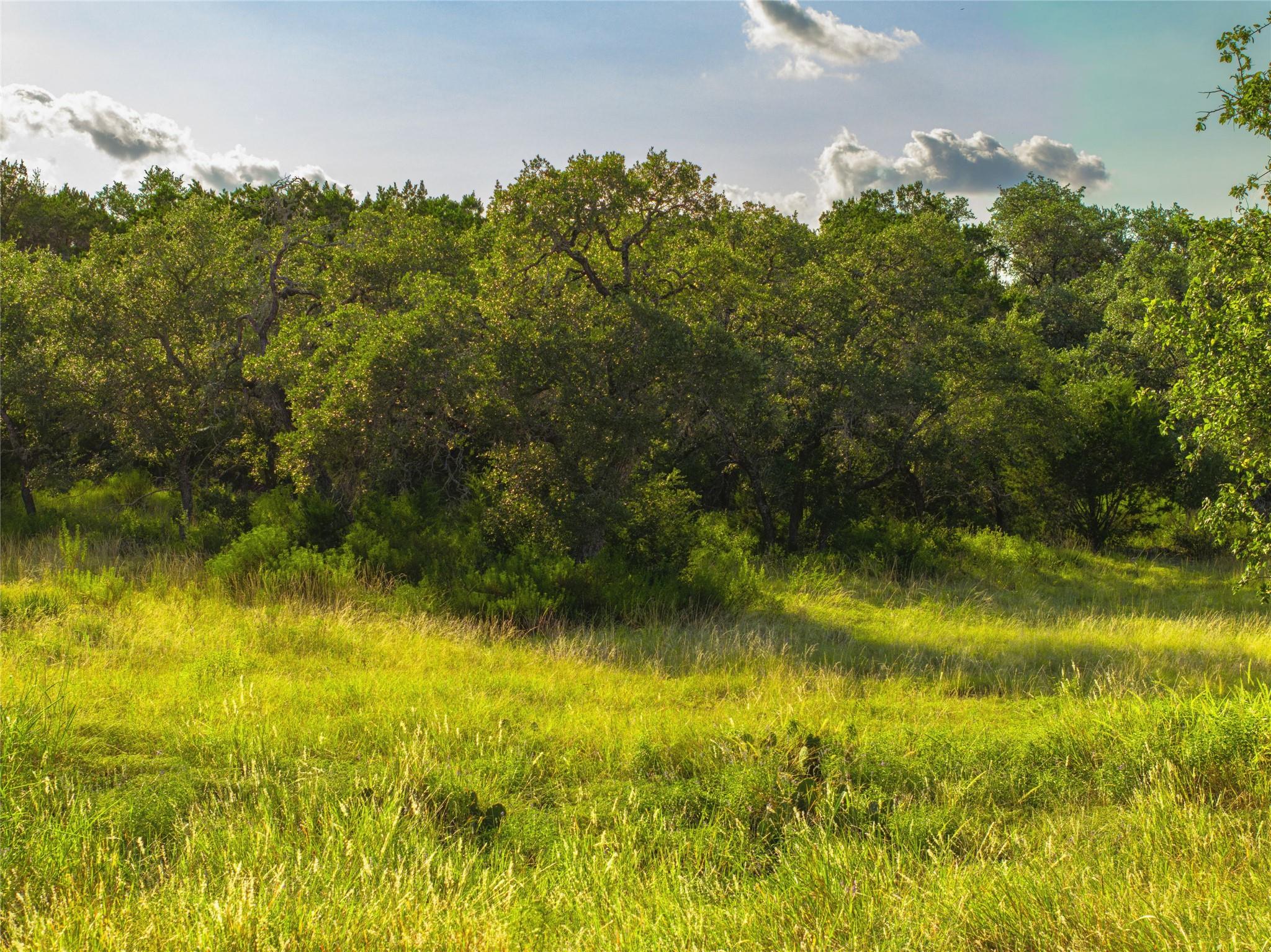 181 Spring Mountain Drive Canyon Lake TX 78133
