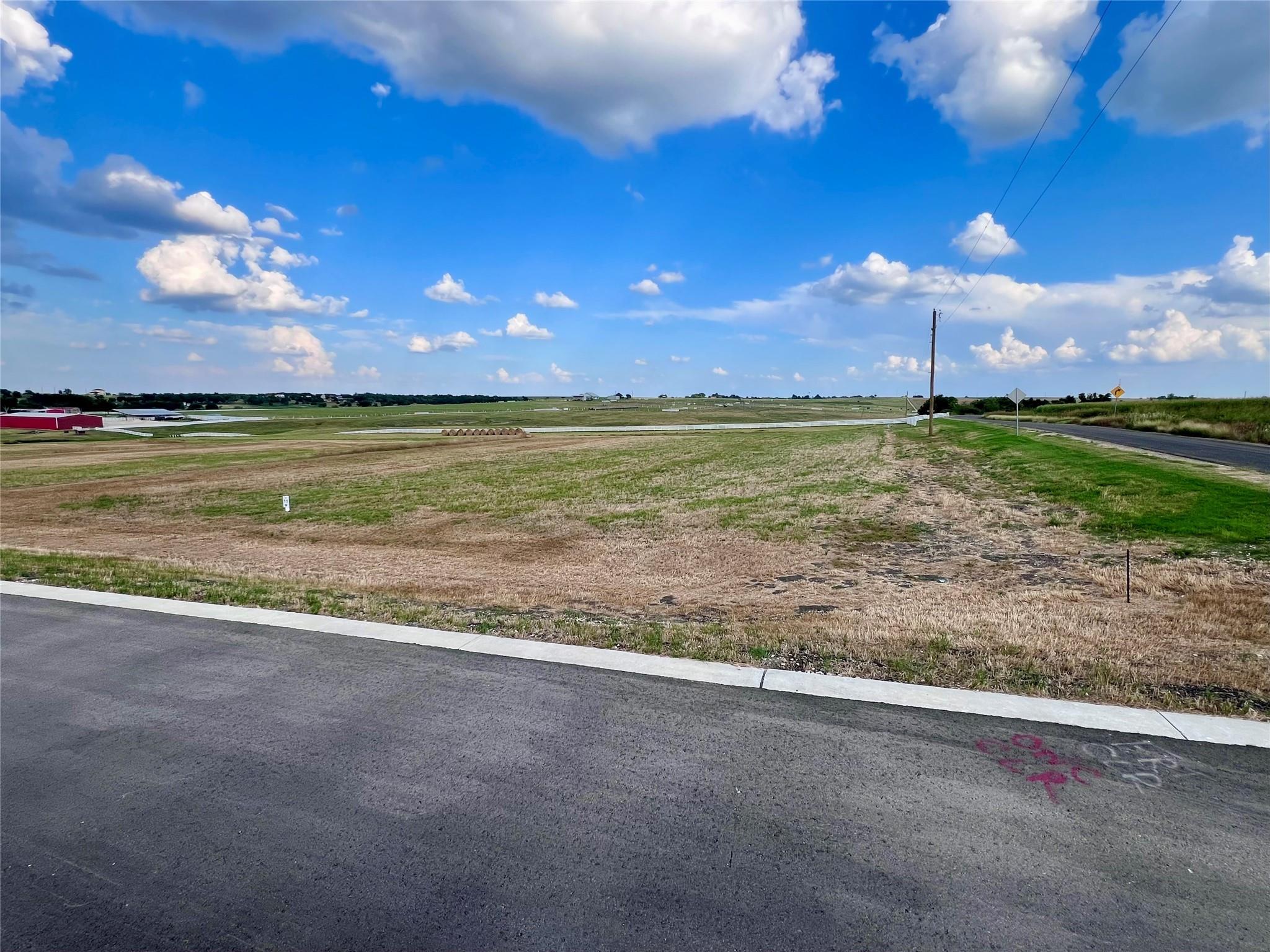 200 Tigerlily Way Thrall TX 76578