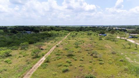 401 Turnback Trail Dale TX 78616