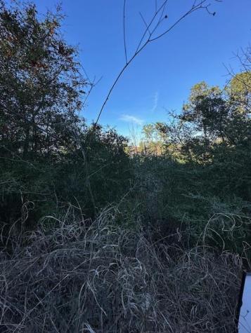 0 Tbd Kula Court Bastrop TX 78602