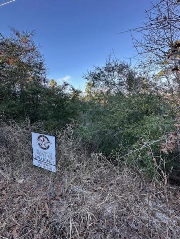 0 Tbd Kula Court Bastrop TX 78602