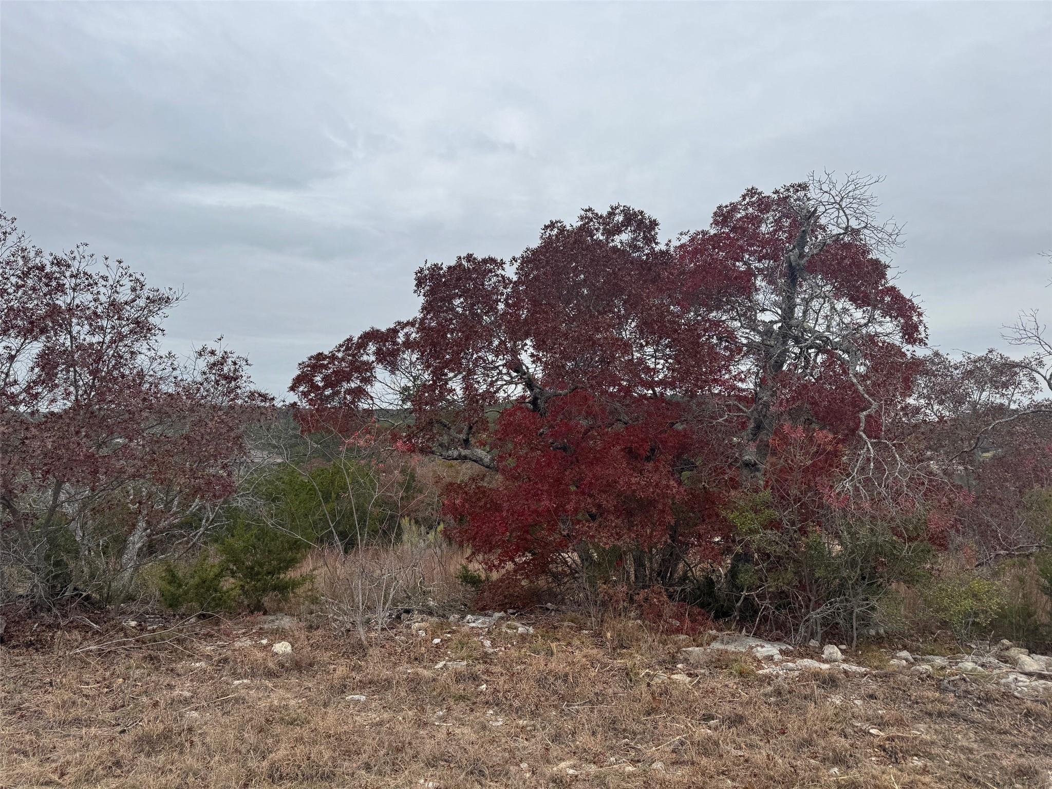 Lot 102 Montana Creek Crossing Marble Falls TX 78654