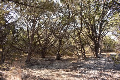 Lot 35 Riparian Elm Road Bertram TX 78605