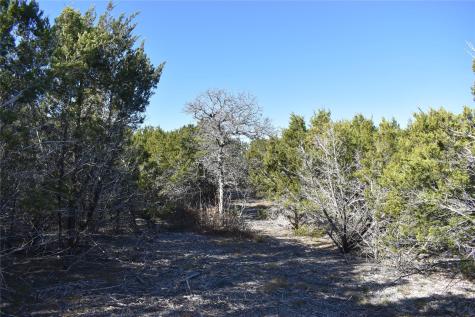 Lot 35 Riparian Elm Road Bertram TX 78605