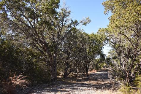 Lot 35 Riparian Elm Road Bertram TX 78605