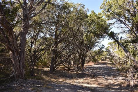 Lot 35 Riparian Elm Road Bertram TX 78605