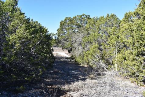 Lot 35 Riparian Elm Road Bertram TX 78605