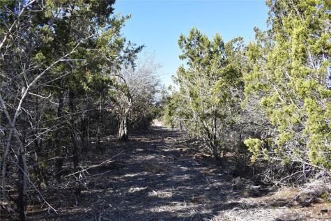 Lot 35 Riparian Elm Road Bertram TX 78605