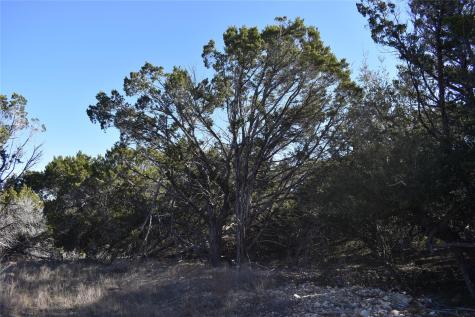 Lot 35 Riparian Elm Road Bertram TX 78605