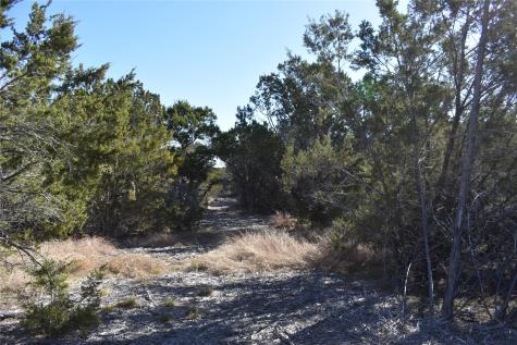 Lot 35 Riparian Elm Road Bertram TX 78605